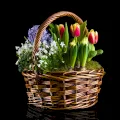 Wiosenny Koszyczek