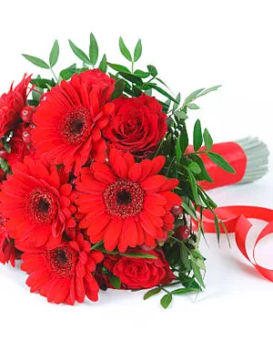 Rubinowa Gerbera - dodatkowe zdjęcie