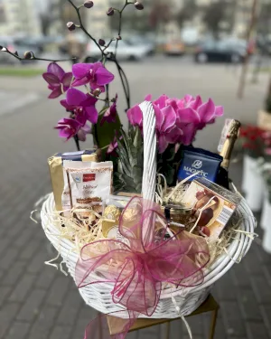 Kosz Prezentowy Storczyk