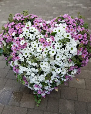 Serce Łąkowe - dodatkowe zdjęcie