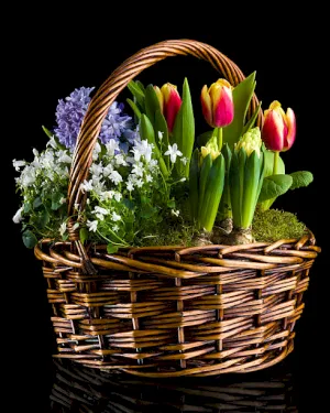 Wiosenny Koszyczek - dodatkowe zdjęcie