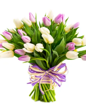 Pastelowe Tulipany - dodatkowe zdjęcie