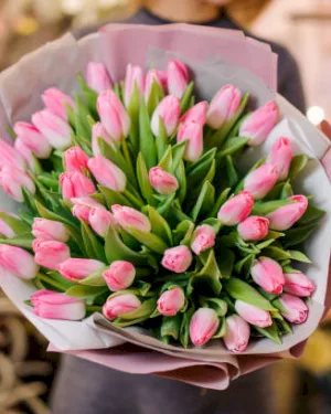 Tulipany Różowe - dodatkowe zdjęcie