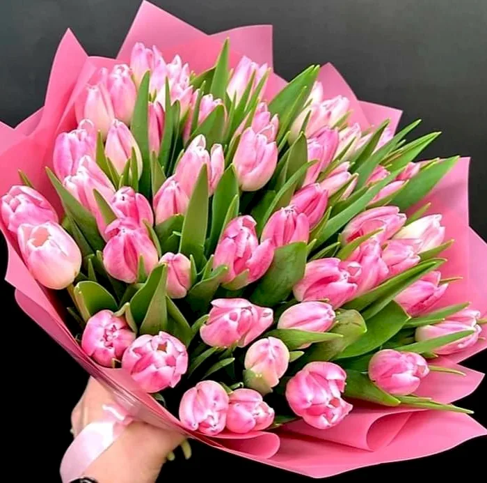 Bukiet różowych tulipanów